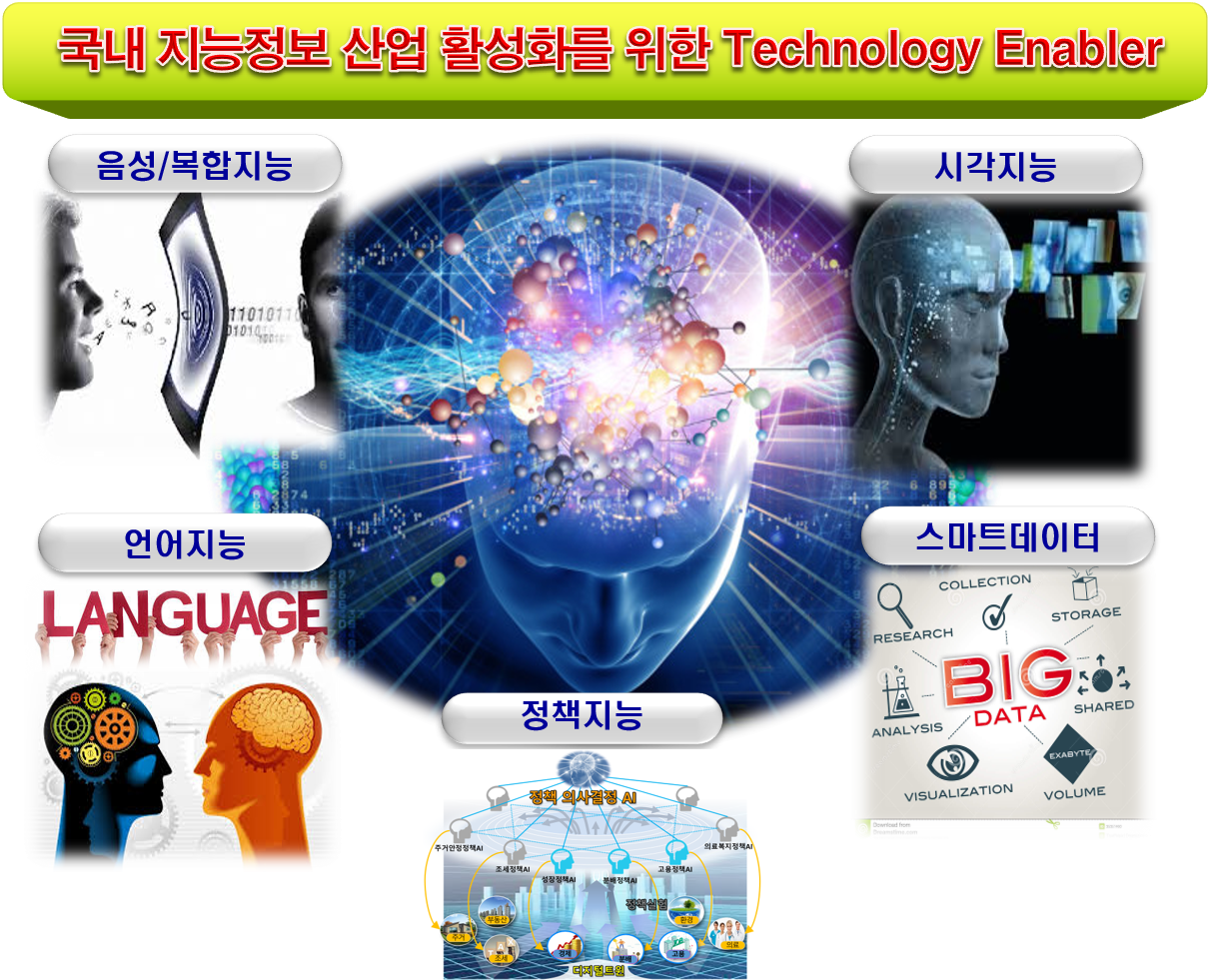 국내 지능정보 산업 활성화를 위한 Technology Enabler 음성/복합지능 언어지능 휴먼증강/탠저블IF 스마트데이터 시각지능